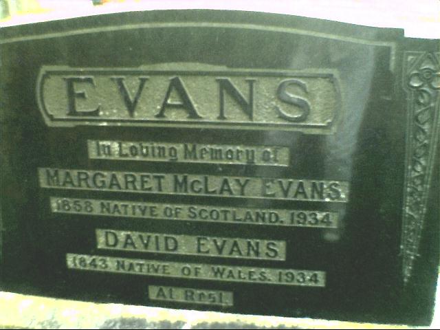 David Evans